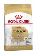 RC Chihuahua 0,5kg