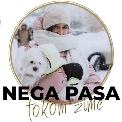 Nega pasa tokom zime