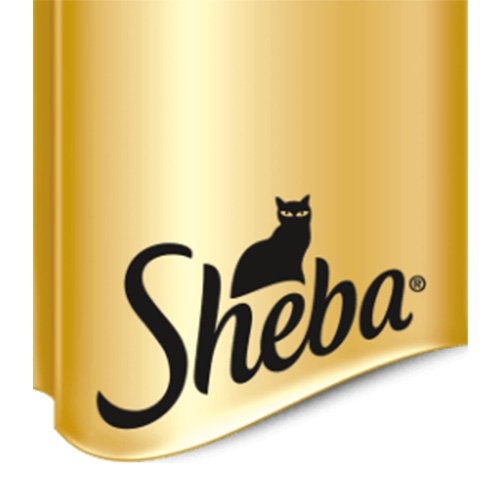 SHEBA