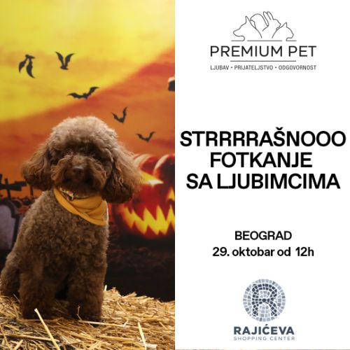 STRRRAŠNOOO FOTKANJE SA LJUBIMCIMA