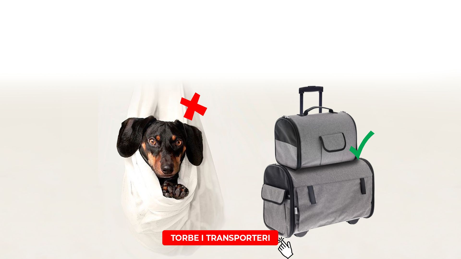 TORBE I TRANSPORTERI