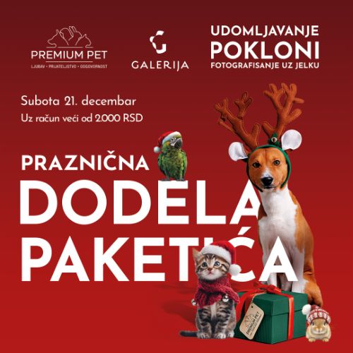 PRAZNIČNA DODELA NOVOGODIŠNJIH PAKETIĆA