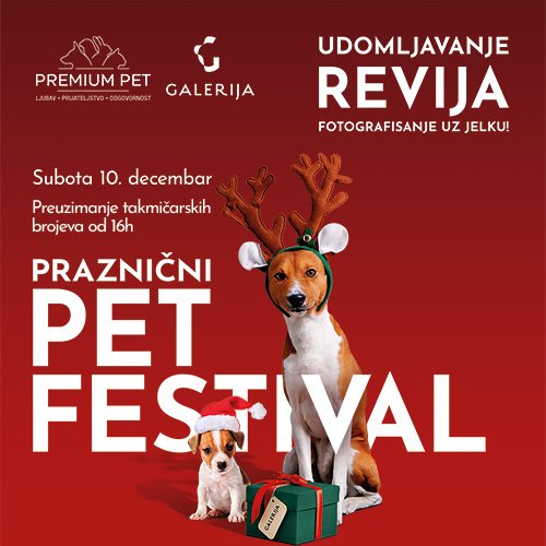 PRAZNIČNI PET FESTIVAL