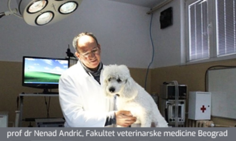 UTICAJ GOJAZNOSTI NA NASTAJANJE NEUROLOŠKIH I ORTOPEDSKIH OBOLJENJA