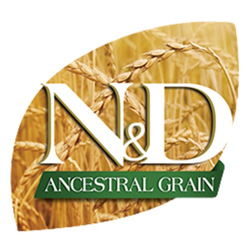 N&D AG