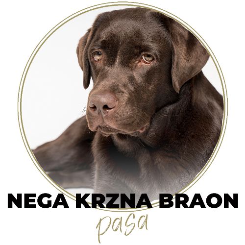 Hrana za braon pse: N&D Brown + Skin&Fur