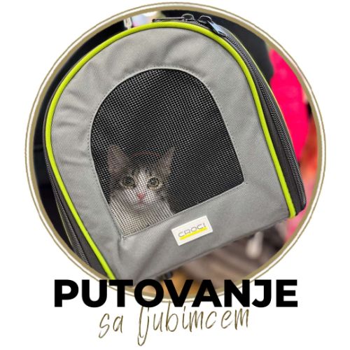 Putovanje sa kućnim ljubimcem – pravila i dokumenti