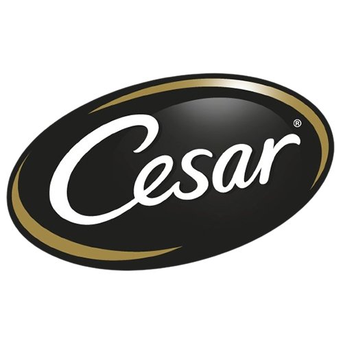CESAR