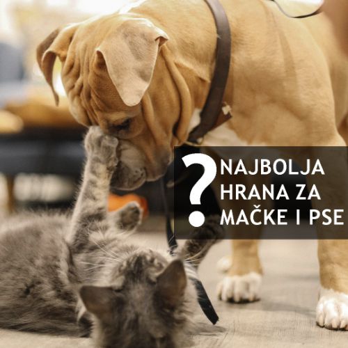 Najbolja hrana za pse i mačke