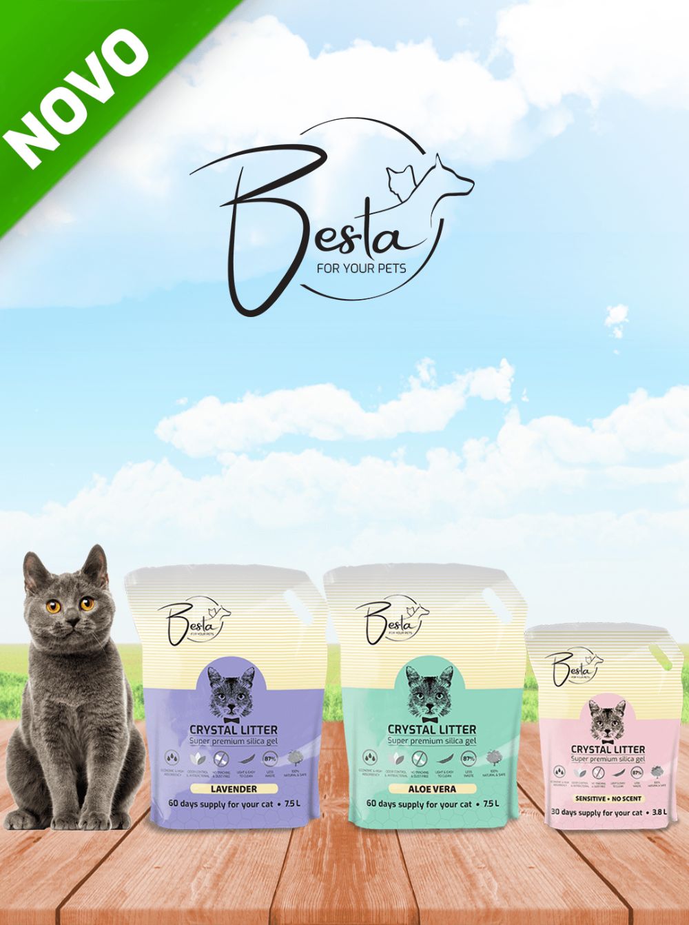 BESTA SILIKONSKI POSIPI