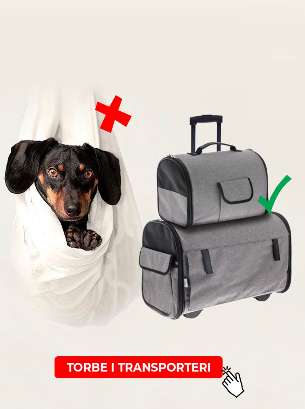 TORBE I TRANSPORTERI