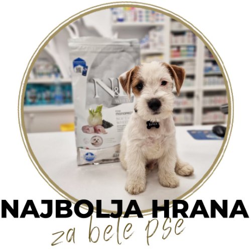 NAJBOLJA HRANA ZA BELE PSE