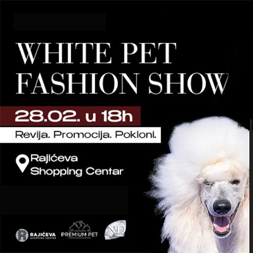 WHITE PET FASHION SHOW
