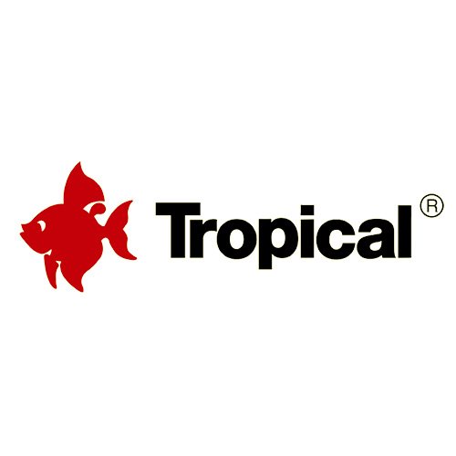 TROPICAL