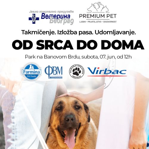 "Od srca do doma" – Izložba pasa, takmičenje i akcija udomljavanja 