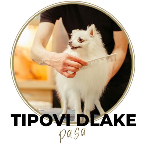 TIPOVI DLAKE PASA