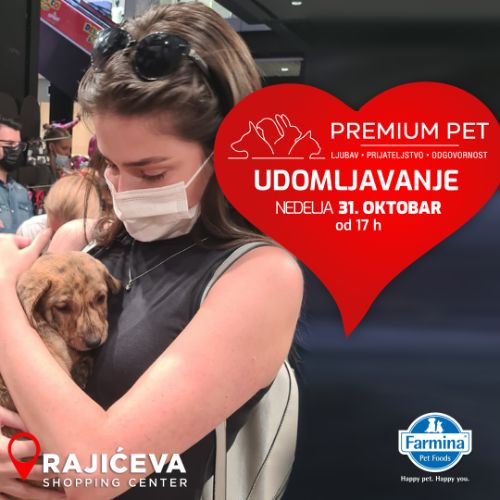 UDOMLJAVANJE RAJIĆEVA