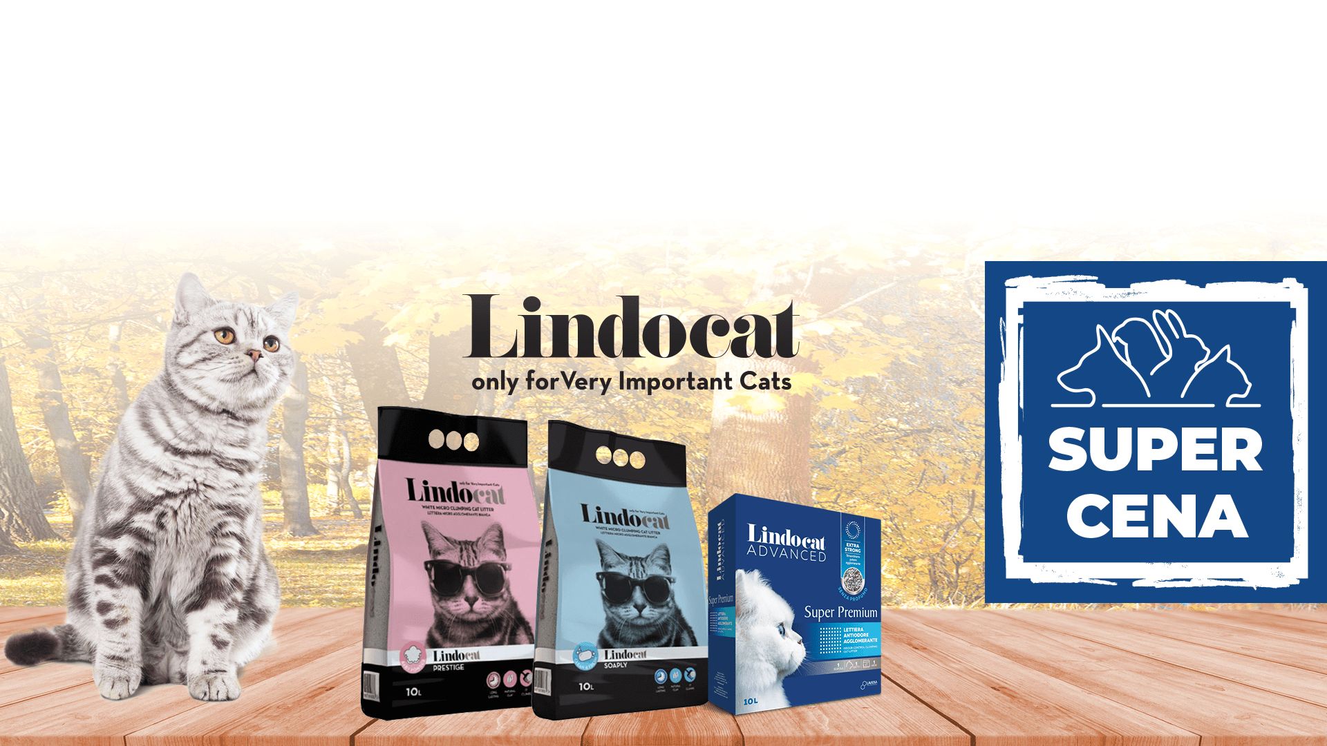 LINDOCAT SUPER CENA