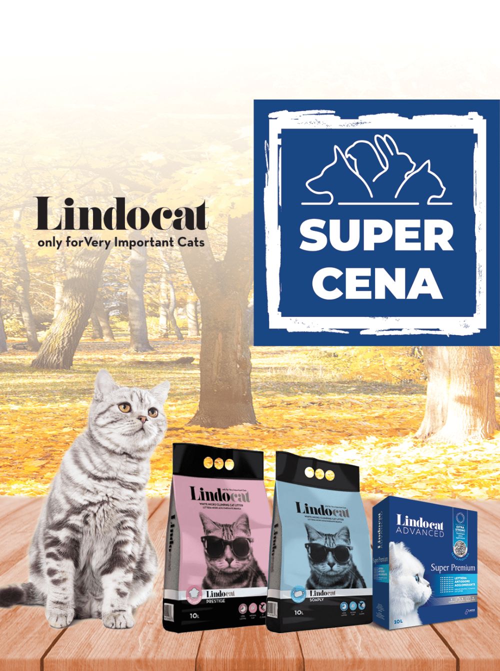 LINDOCAT SUPER CENA