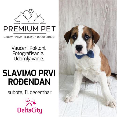 ROĐENDAN Premium Pet Delta City